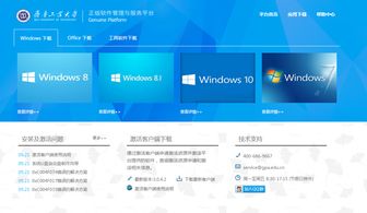 关于启用微软正版化软件服务及数字工大信息门户升级的通知